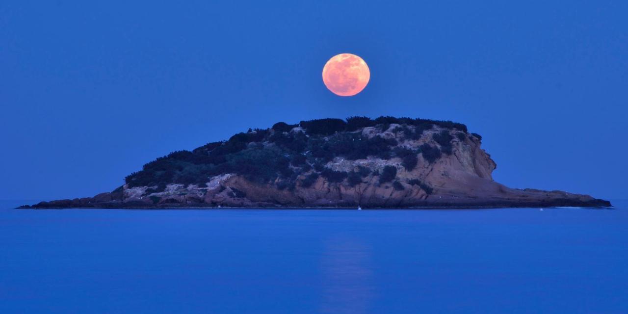 Isla De Altea Beach Luxury House מראה חיצוני תמונה
